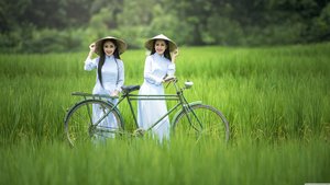 花花世界夜生活免费看